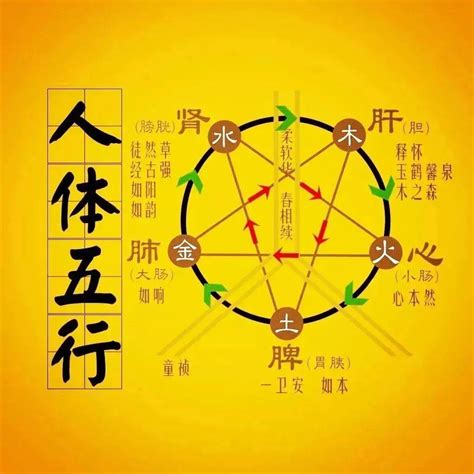 什么克木|“五行相克”，分别是什么克什么？